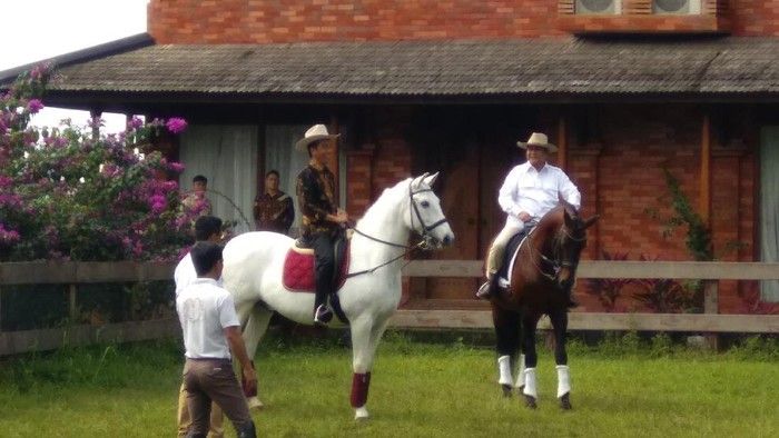 Momen Presiden Jokowi berkuda menunggang Salero, sementara Prabowo menunggang Principe. Kedua ekor kuda adalah ras Lusitano milik Prabowo (detik.com/ Ikhwanul Habibi).