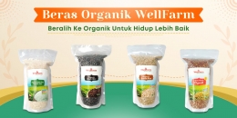 Hidup sehat dengan beras organik. Ilustrasi beras organik by blog.wellfarm.id
