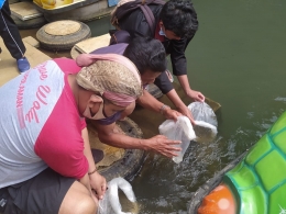 Pelepasan 2500 bibit ikan nila di Wisata Sumber Kemado, Dusun Polaman (dok.pribadi) 