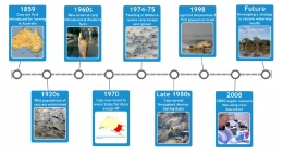 Lini waktu inroduksi ikan mas ke Australia dan pengembangan virus herpes untuk membasminya. Sumber : CSIRO.com