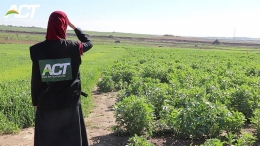 Ilustrasi. Relawan ACT di tengah lahan pertanian Palestina. (ACTNews) 