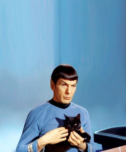 Mr. Spock dengan kucing hitamnya. Ilustrasi : tumblr
