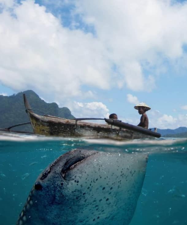 laut Papua (dok.wonderfulindonesia)