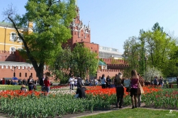 Alexander Garden- Kremlin. Sumber: koleksi pribadi