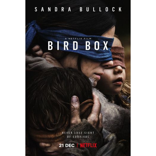 Film Bird Box (foto:spy.com) 