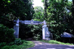 Taman Wisata Alam Gunung Meja Manokwari (dok. indonesiakaya.com)