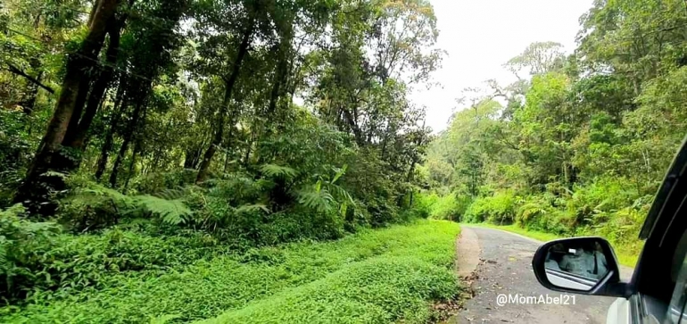 Pemandangan sepanjang jalan menuju ke Kawah Putih (Foto : dokpri)