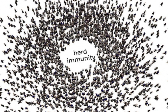 Ilustrasi herd immunity(Shutterstock via kompas.com)