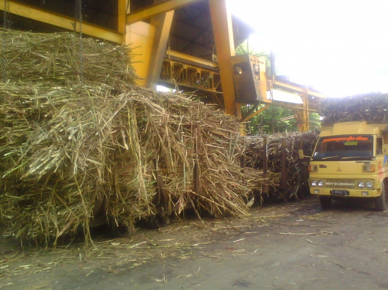 Tebu sudah siap masuk pabrik untuk digiling pada salah satu Pabrik Gula di Jawa Timur (Foto Dokumen Pribadi/Hensa)