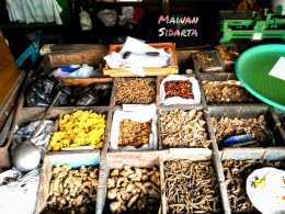 Bahan jamu dari rimpang atau herbal berkhasiat yang dikeringkan (Dokumentasi Mawan Sidarta) 