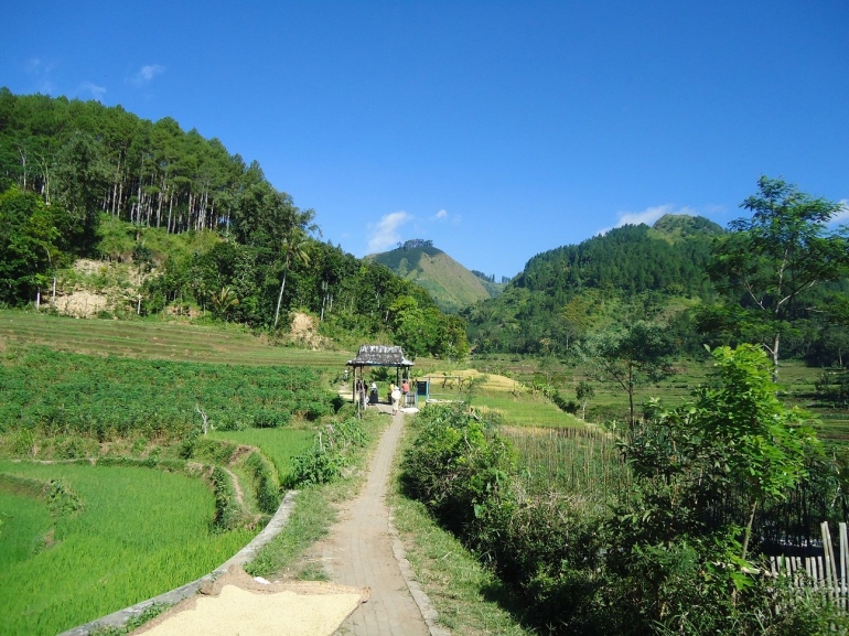 Keterangan: jalan setapak menuju candi dengan latar belakang panorama bukit Giyanti, Condong dan Malang (sumber: dok. pribadi)
