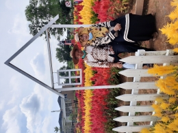 Taman bunga celosia spring hill talang kelapa palembang
