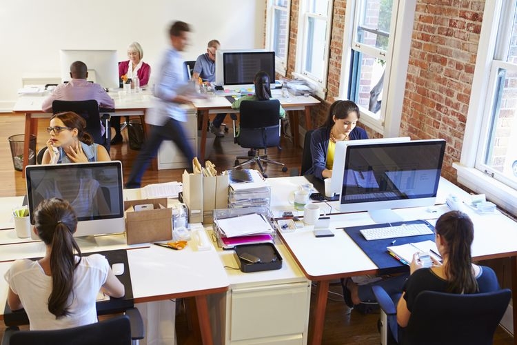 Ilustrasi suasana kerja di kantor. Sumber: Shutterstock via KOMPAS.COM