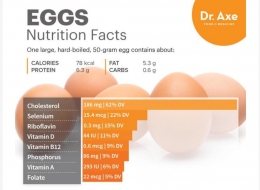 Kandungan nutrisi utama telur. Sumber: infogram.com