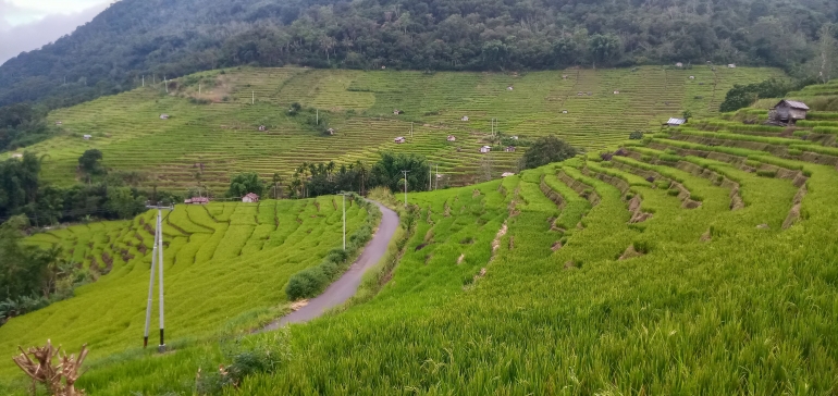 Persawahan Pighong dan Rinding Nao/dokpri.