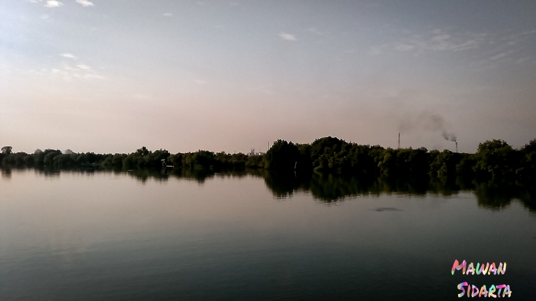 Laut dan hutan mangrove Gresik dari kejauhan di pagi hari (Dokumentasi Mawan Sidarta) 