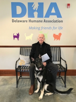 Major ketika diadopsi oleh Joe Biden dari Delaware Humane Association | Foto diambil dari DelawareToday