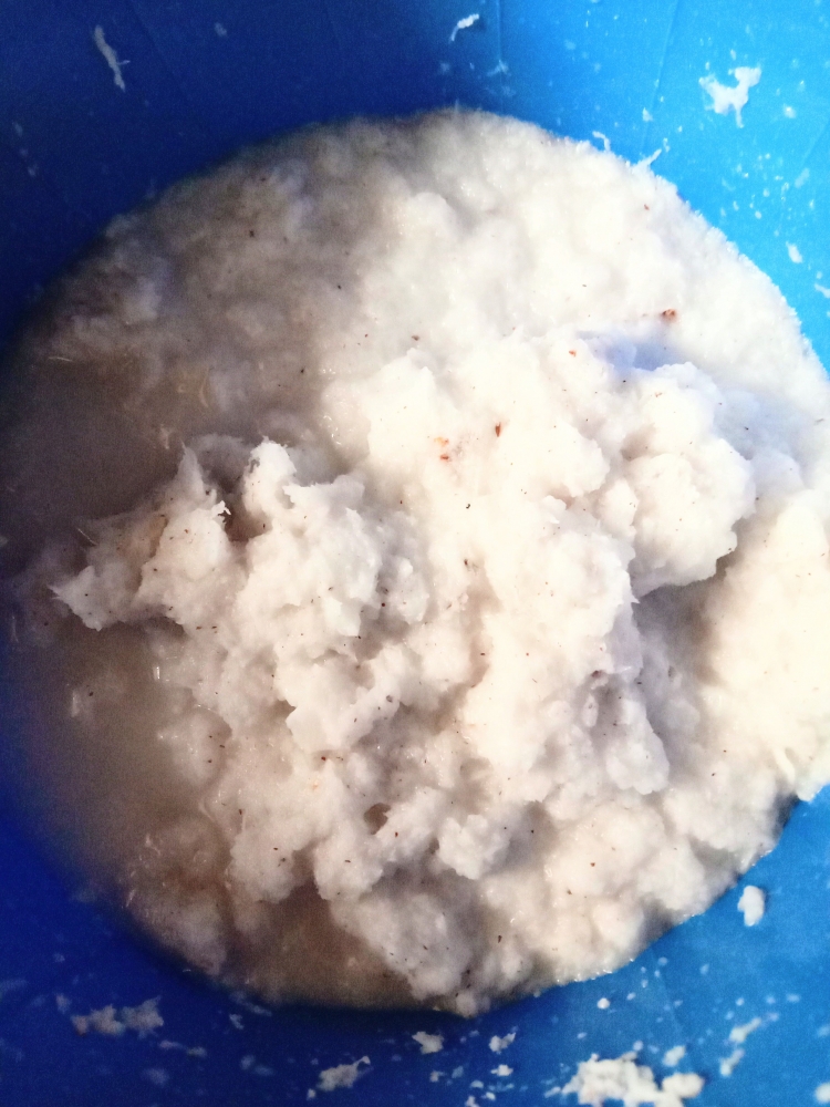 Santan dari kelapa tua-dokpri