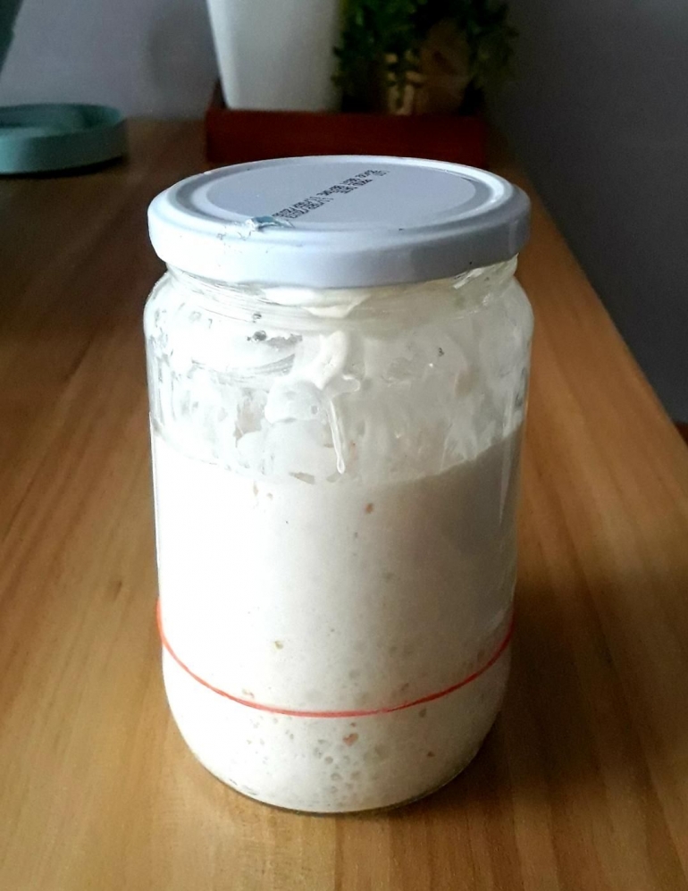 Sourdough Starter yang dapat dibuat sendiri di rumah| Sumber: Dokumentasi pribadi