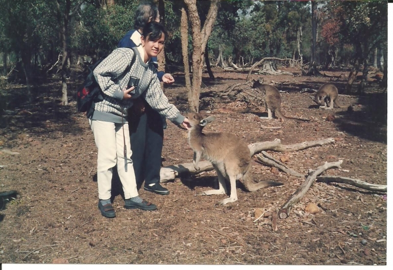 Pertamakali aku melihat dan mengamati si kangguru, di habitat asli Australia di Cohunu Park, dimana aku bisa mengelus dan memberinya makan