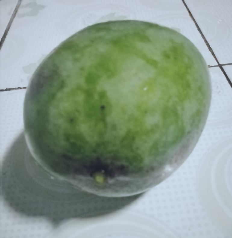 Mangga Manalagi yang Jatuh di Halaman