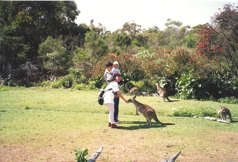 Pertamakali Drennis melihat kangguru seperti di foto ini tahun 1997, dia berteriak2 kegirangan, dan serta merta di harus digendong karena dia ingin mengejar seekor kangguru!
