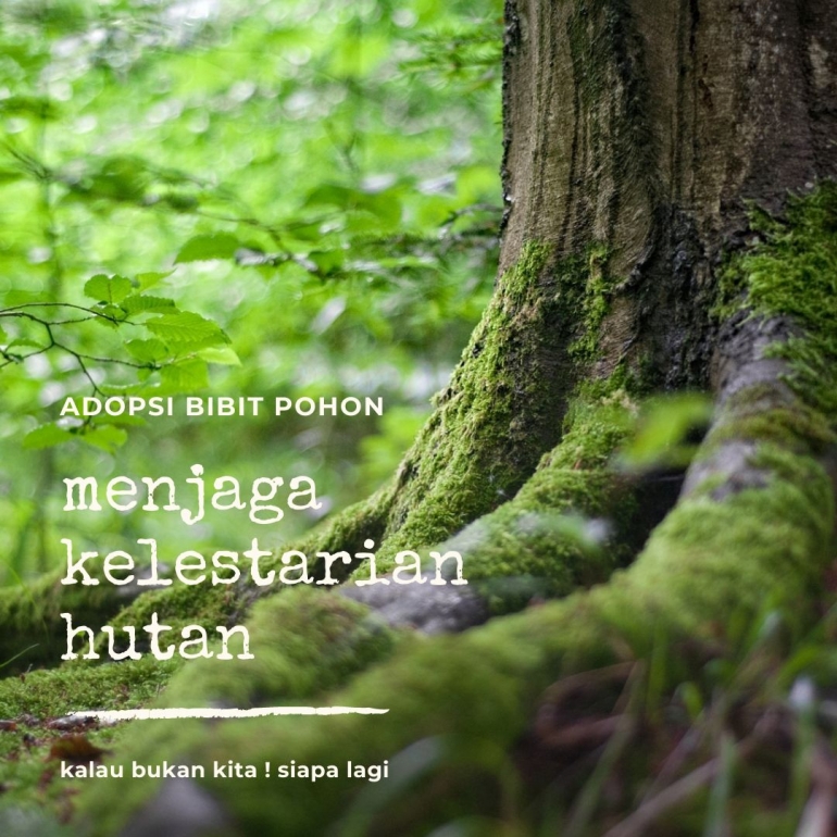 Deskripsi : Ayo menjaga kelestarian hutan dengan adopsi pohon I Sumber Foto : dokpri - design by canva