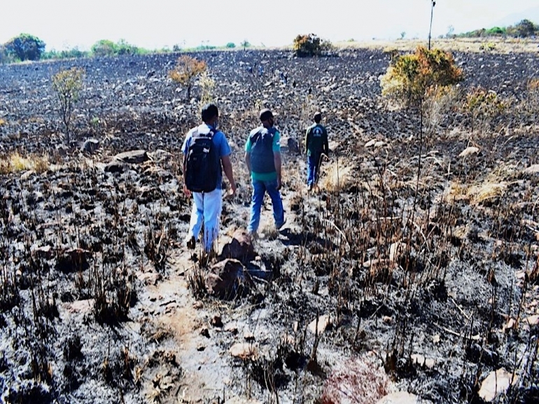 UPT KPH Kab. Sikka, NTT  melakukan pengecekan lokasi kebakaran di Dusun Kolibuluk, Desa Hoder, Kec. Waigete, Kab. Sikka, NTT: Ebed de Rosary/Mongabay 