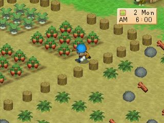 Gameplay dari Harvest Moon Back To Nature (Foto: Pinterest).