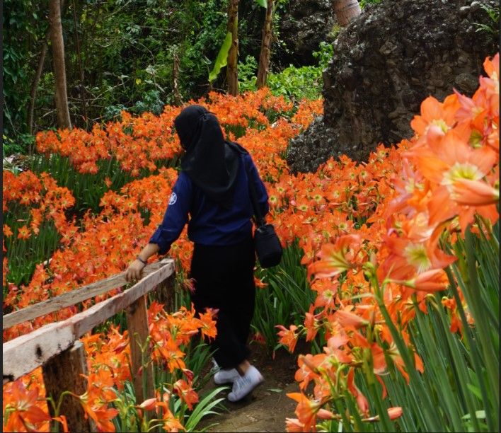 Pemilik taman bunga sudah menyediakan jalan-jalan setapak untuk kenyamanan pengunjung yang datang -dokpri