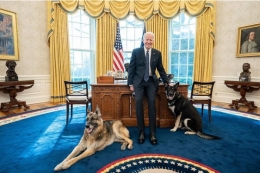 Major (kanan) dan Champ (kiri) berpose dengan Joe Biden di Kantor Oval. Official White House Photo by Adam Schultz 
