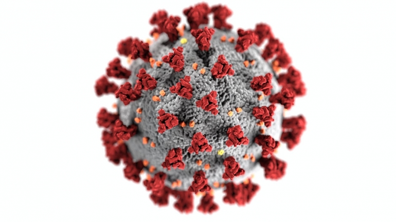 Virus corona yang menyebabkan pandemi COVID-19 yang terjadi di seluruh dunia saat ini. sumber: pexels.