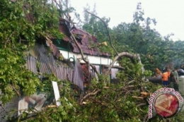 Bencana Alam di NTT (Kupang, Antaranews.com)