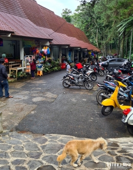 Curug Nangka, Curug Daun, Dan Curug Kawung, Wisata Alam Dekat Kota Bogor (Dok. pribadi)