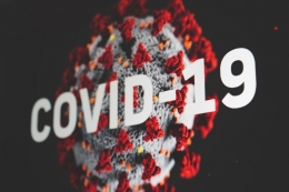 Virus covid 19 yang menjadi teror bagi masyarakt dunia, termasuk Indonesia (Sumber : Martin Sanchez via unsplash.com)