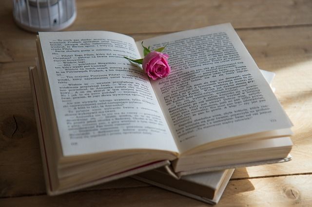 Ilustrasi buku novel (sumber gambar: pixabay.com)