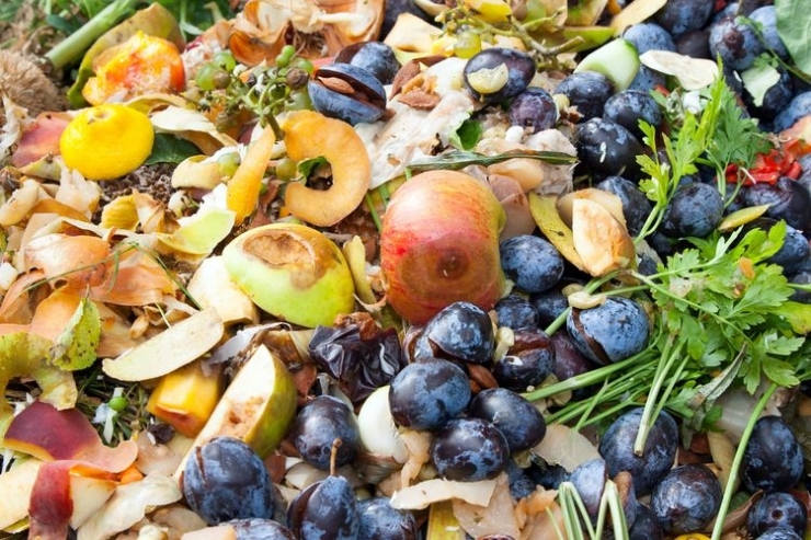 Ilustrasi food waste yang mempengaruhi lingkungan (Sumber Evan Lorne/shutterstock on Kompas.com)