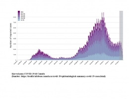 Grafik kurva kasus Covid-19 di Kanada (sumber: www.health-infobase.canada.ca)