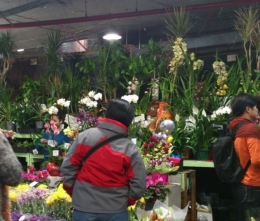 Jualan bunga segar juga ada di Paddy Market(dok pribadi)