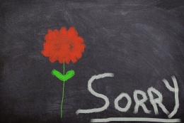 Ucapan maaf (sumber gambar: pixabay.com)