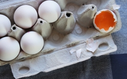 Perbedaan kandungan kolesterol antara telur putih saja dan telur utuh mungkin mempengaruhi pembentukan otot (Image by pasja1000 from Pixabay) 
