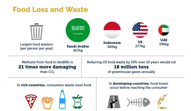 tangkapan layar infografik food waste Indonesia - barillacfn.com