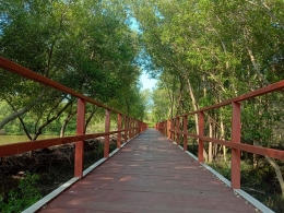 sisi kanan dan kiri dihiasai pohon mangrove /dokpri