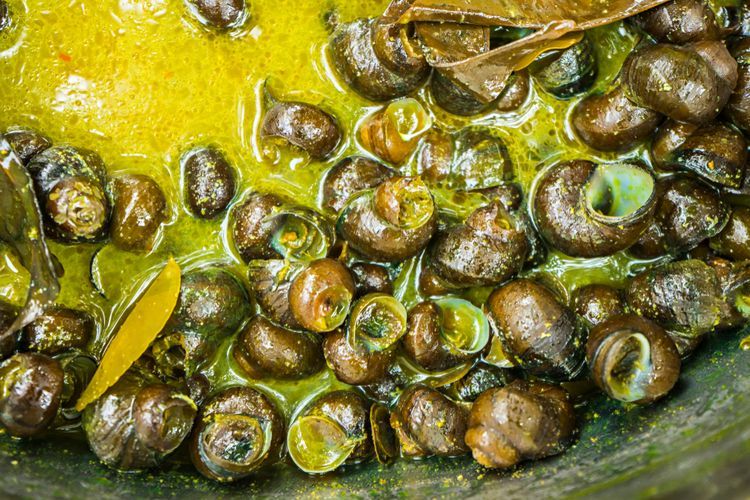 Salah satu kuliner Ramadhan: Sop Kraca/Sop Tutut/Sop Keong Sawah (Travel Kompas/Dok. ShutterstockSony Herdiana)