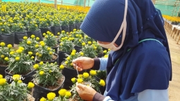 Perempuan pengawin bunga (Dokumentasi pribadi)