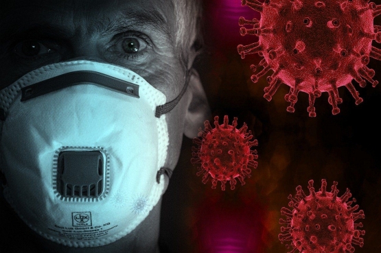 Coronavirus. Gambar oleh enriquelopezgarre dari Pixabay