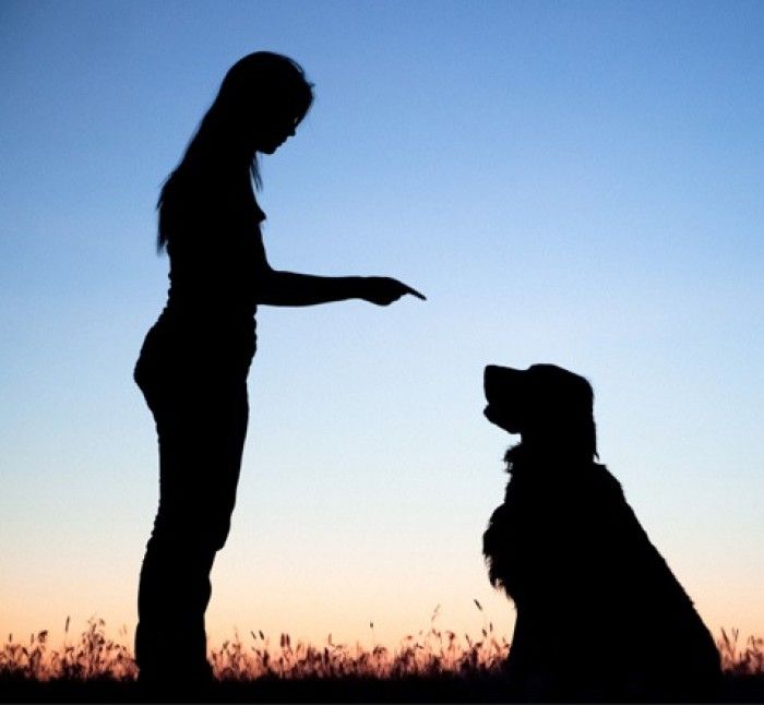 Seorang perempuan dan anjing. Sumber || medureh.com