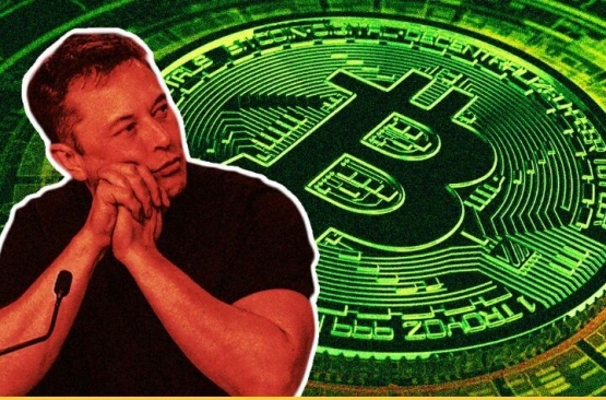 Elon Musk dan Bitcoin (futurism via kompasiana.com)