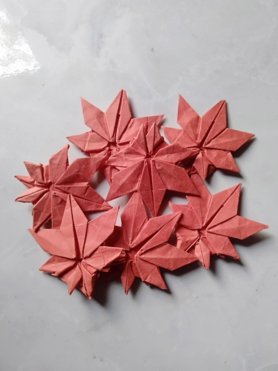 Origami momiji/ daun maple (koleksi pribadi)