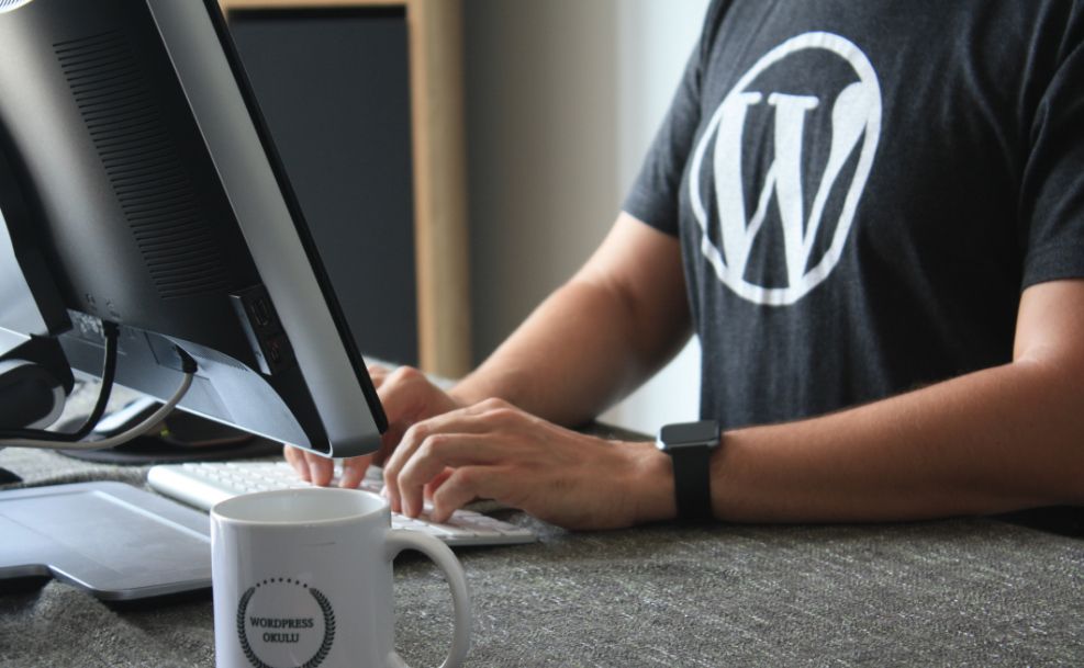 Wordpress bisa dijadikan pintu masuk menjadi pemain di dunia Teknologi Informasi | Dok. unsplash.com